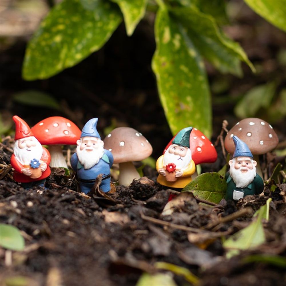 Set of 4 Mini Gnome Plant Pot Pals
